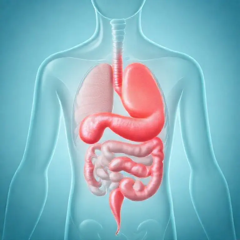 1.消化器ドックの基本概念及び背景理解：定義、歴史、核心原理分析