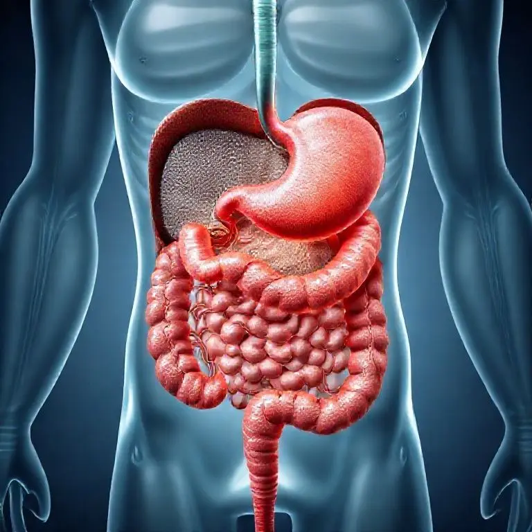 2. 深層分析：消化器ドックの作動方式と核心メカニズム解剖