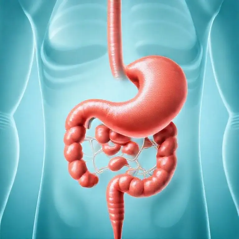 4. 成功的な消化器ドック活用のための実戦ガイド及び展望